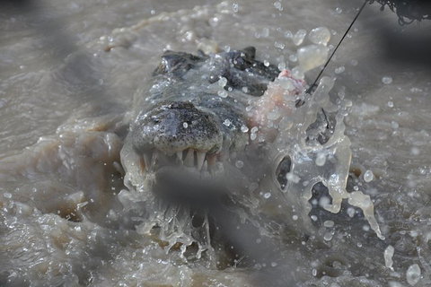 Jumping Crocodile Day Trip From Darwin - Accommodation Sunshine Coast 1