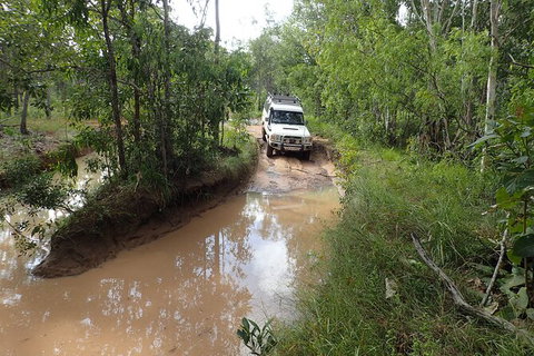 Cairns 4WD Waterfall And Rainforest Tour Including Kuranda Scenic Railway - Accommodation Sunshine Coast 3