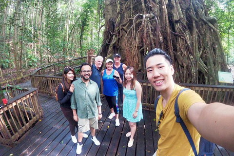 Cairns 4WD Waterfall And Rainforest Tour Including Kuranda Scenic Railway - Accommodation Sunshine Coast 6