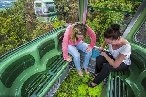 8-Day Cairns Tour: Great Barrier Reef, Kuranda, Daintree Rainforest - Accommodation Sunshine Coast 1