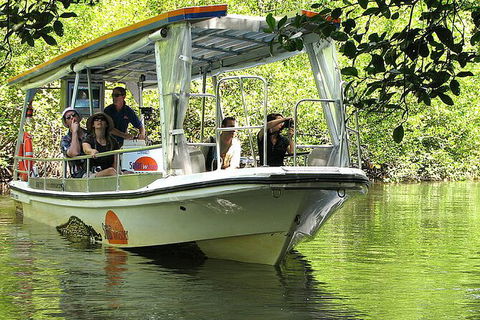 8-Day Cairns Tour: Great Barrier Reef, Kuranda, Daintree Rainforest - Accommodation Sunshine Coast 3
