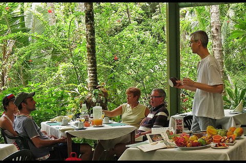 8-Day Cairns Tour: Great Barrier Reef, Kuranda, Daintree Rainforest - Accommodation Sunshine Coast 5