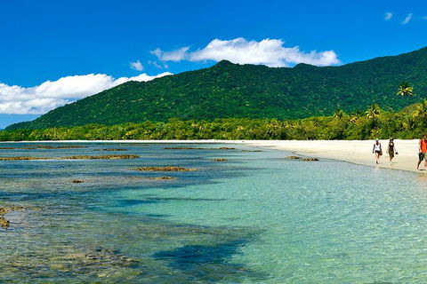 8-Day Cairns Tour: Great Barrier Reef, Kuranda, Daintree Rainforest - Accommodation Sunshine Coast 4