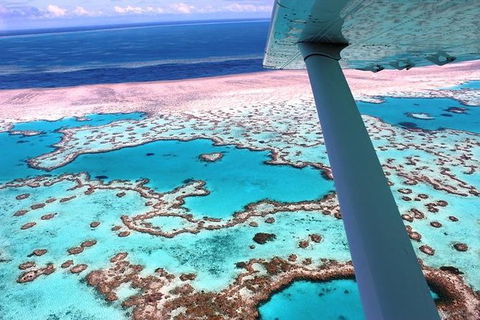 8-Day Cairns Tour: Great Barrier Reef, Kuranda, Daintree Rainforest - Accommodation Sunshine Coast 0