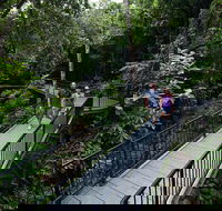 4-Day Cairns with Great Barrier Reef and Daintree Rainforest - Accommodation Sunshine Coast