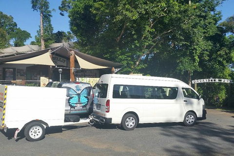 Airport Transfer To Or From Cairns Hotels For Up To 13 People (7am-10pm) - Accommodation Sunshine Coast 3