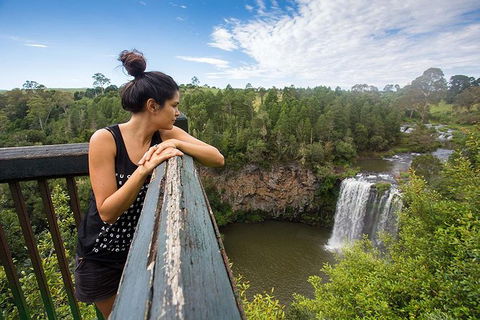 Boutique Brisbane To Cairns Australian East Coast Tour - 8 Day Small Group - Accommodation Sunshine Coast 0