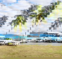 Private Transfers - Cairns Airport to Cairns City - Accommodation Sunshine Coast