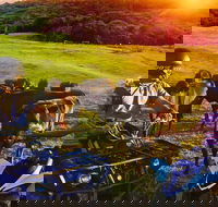 ATV Ride with Petting Zoo Experience in Kuranda from Cairns - Accommodation Sunshine Coast