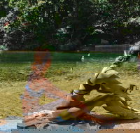 Private Waterfall and Rainforest Day Tour - Accommodation Sunshine Coast