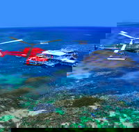 2 Day Reef  Rainforest Adventure - Accommodation Sunshine Coast