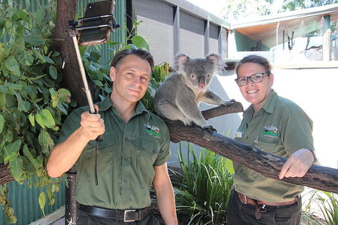 Virtual Interactive Australian Wildlife Tour With Private Guide-Wildlife Habitat - Accommodation Sunshine Coast 4