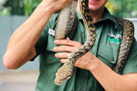 Virtual Interactive Australian Wildlife Tour With Private Guide-Wildlife Habitat - Accommodation Sunshine Coast 3