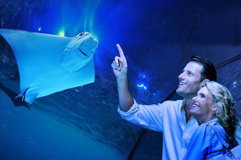 Cairns Aquarium Tour By Twilight With Drink And Appetiser - Accommodation Sunshine Coast 0