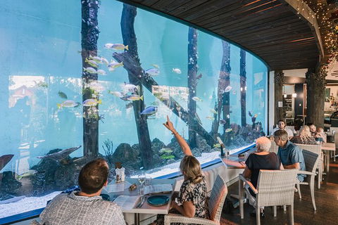 Cairns Aquarium Tour By Twilight With Drink And Appetiser - Accommodation Sunshine Coast 1