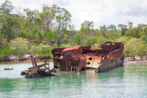 Sandy Straits Scenic & Wildlife Cruise - Accommodation Sunshine Coast 9