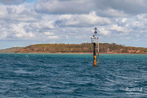 Sandy Straits Scenic & Wildlife Cruise - Accommodation Sunshine Coast 6