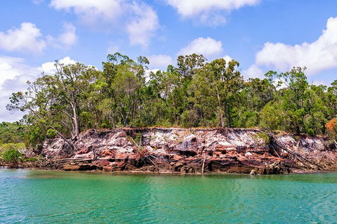 Sandy Straits Scenic & Wildlife Cruise - Accommodation Sunshine Coast 2