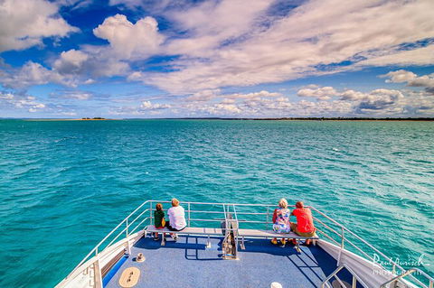 Sandy Straits Scenic & Wildlife Cruise - Accommodation Sunshine Coast 7