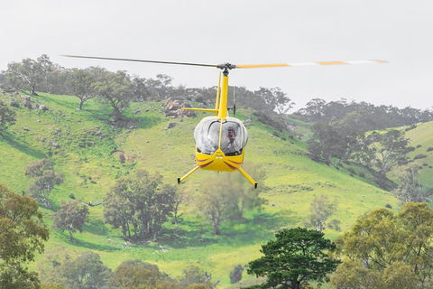 Barossa Valley Deluxe: 30-Minute Helicopter Flight - Accommodation Sunshine Coast 2