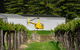Barossa Valley Deluxe: 30-Minute Helicopter Flight - thumb 3
