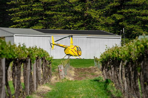 Barossa Valley Deluxe: 30-Minute Helicopter Flight - Accommodation Sunshine Coast 3