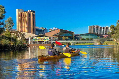 Adelaide City Kayak Tour - Accommodation Sunshine Coast 3