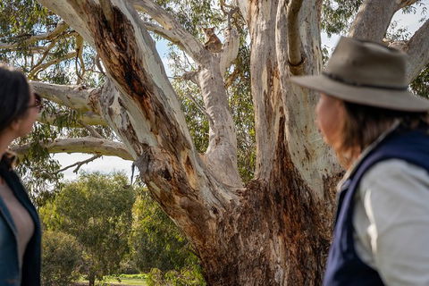 NEW TOUR - Kangaroo Island Road To Recovery Tour (1 Day/1 Night) - Accommodation Sunshine Coast 2