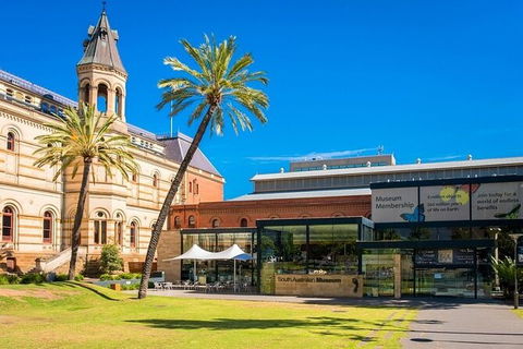 Departure Private Transfers: Adelaide To Adelaide Airport ADL In Business Car - Accommodation Sunshine Coast 6