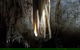 Shore Excursion: Coast, Caves And Wildlife Park - 8 Hour Tour - thumb 10