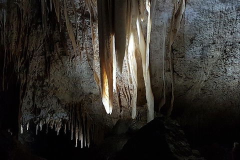 Shore Excursion: Coast, Caves And Wildlife Park - 8 Hour Tour - Accommodation Sunshine Coast 10