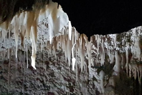 Shore Excursion: Coast, Caves And Wildlife Park - 8 Hour Tour - Accommodation Sunshine Coast 21