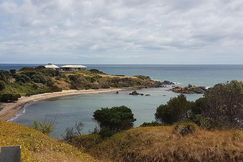 Shore Excursion: Coast, Caves And Wildlife Park - 8 Hour Tour - Accommodation Sunshine Coast 0