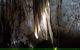 Shore Excursion: Coast, Caves And Wildlife Park - 8 Hour Tour - thumb 7