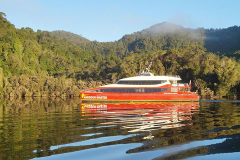 Afternoon Gordon River Dinner Cruise - Departing 3pm - Accommodation Sunshine Coast 1