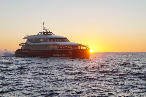 Afternoon Gordon River Dinner Cruise - Departing 3pm - Accommodation Sunshine Coast 0