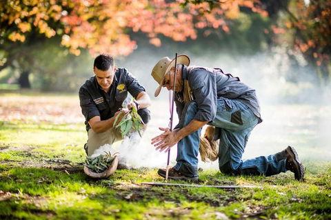 Aboriginal Heritage Walk - Royal Botanic Gardens Victoria, Melbourne Gardens - Accommodation Sunshine Coast 0