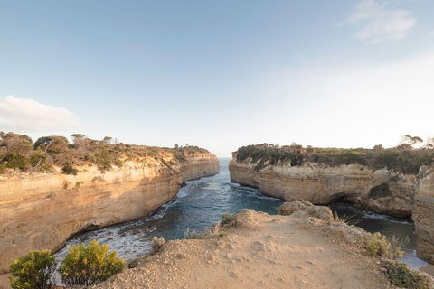 PRIVATE Great Ocean Road Tour And 12 Apostles With Wildlife Spotting - Accommodation Sunshine Coast 1