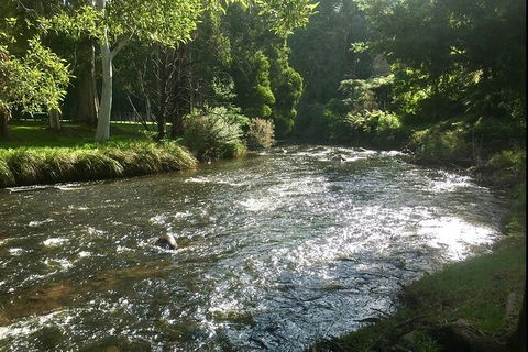 Watertube Experience In Yarra River - Accommodation Sunshine Coast 3