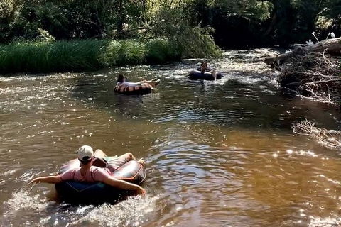 Watertube Experience In Yarra River - Accommodation Sunshine Coast 8