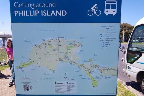 Phillip Island Penguin And Wildlife Tour - Accommodation Sunshine Coast 28