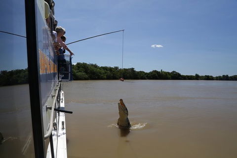 Darwin City Sights And Jumping Crocodile Cruise - Accommodation Sunshine Coast 2