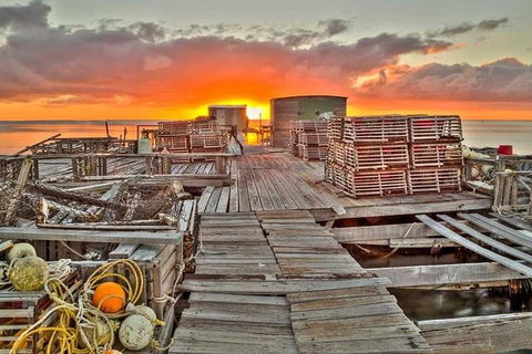 Abrolhos Islands 3 Day Fishing Charter - Accommodation Sunshine Coast 5