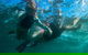 Ningaloo Immersion Private Charter - thumb 3