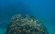Ningaloo Immersion Private Charter - thumb 4