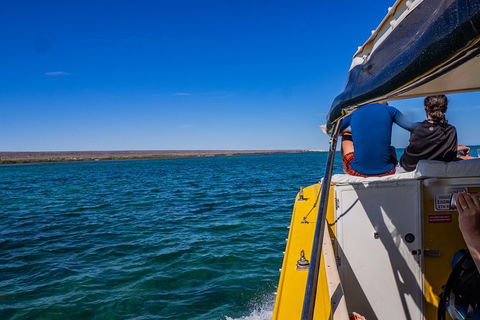 Ningaloo Immersion Private Charter - Accommodation Sunshine Coast 0