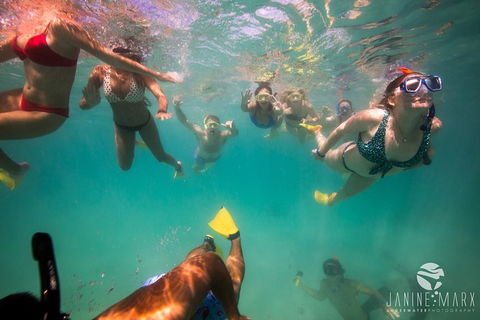 Ningaloo Immersion Private Charter - Accommodation Sunshine Coast 8
