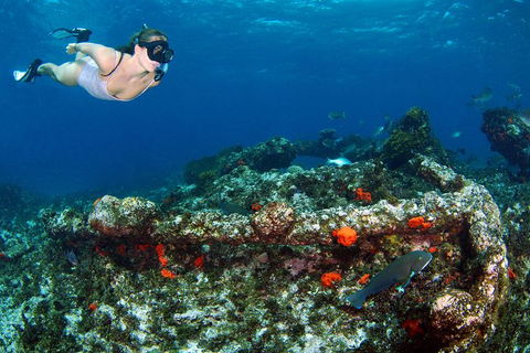 Abrolhos Islands 5 Day Tours - Accommodation Sunshine Coast 3