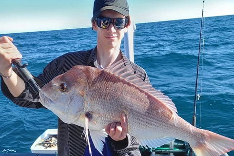 Geraldton Fishing Charter - Accommodation Sunshine Coast 2