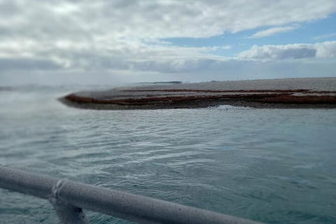 Abrolhos Islands Fishing Charter - Accommodation Sunshine Coast 6